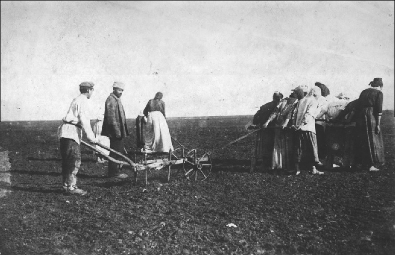 Вдовы